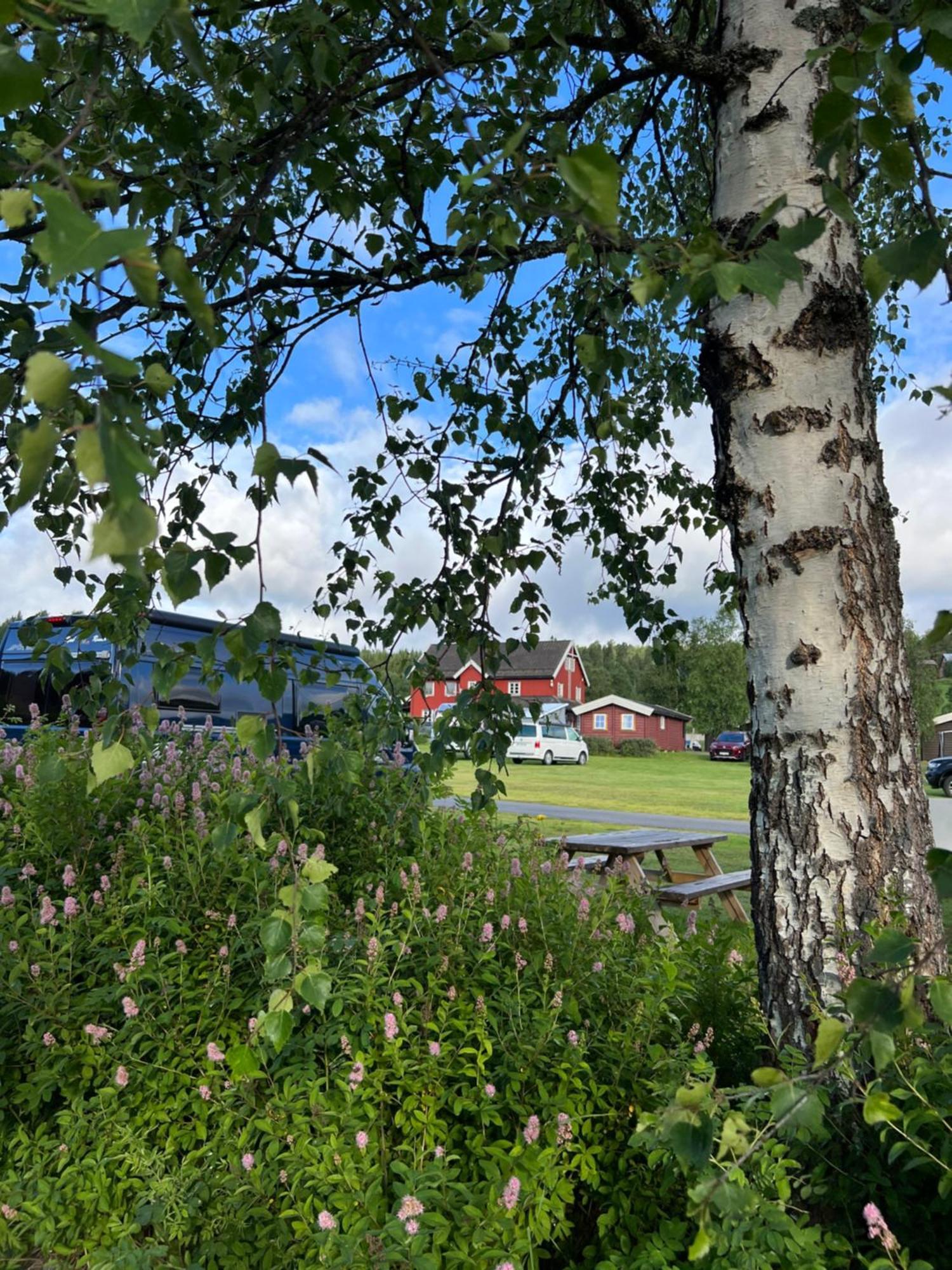Gullvag Camping Nyberg Soknedal Ngoại thất bức ảnh