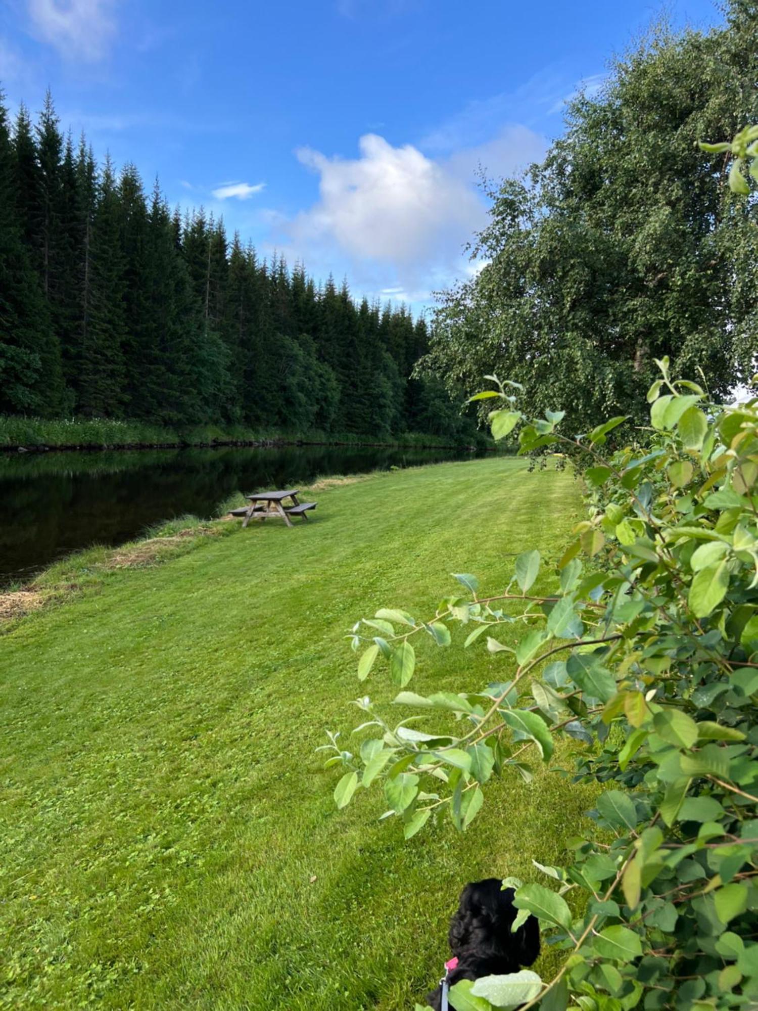 Gullvag Camping Nyberg Soknedal Ngoại thất bức ảnh
